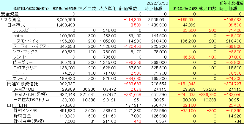 2022年6月末時点のNISA口座の資産内容